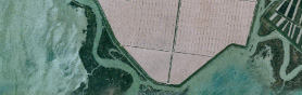 Le foci dello stella